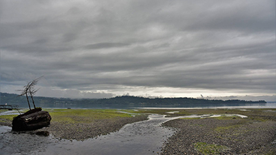 Fern Cove - jd-400x225